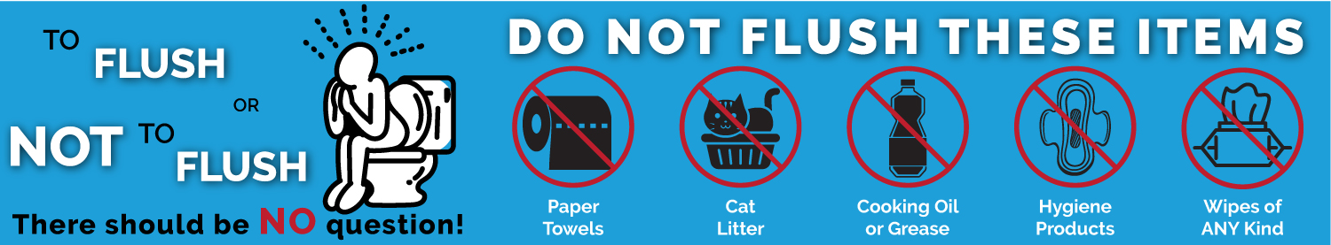 Do Not Flush These Items